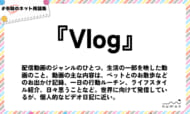 numan用語集「Vlog」