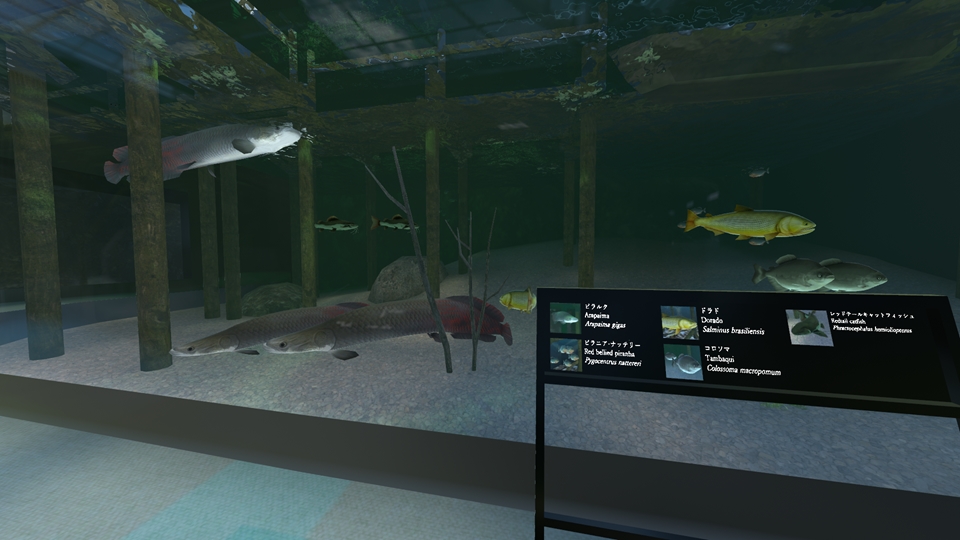 ジンベイザメ・ピラルクなど世界の魚たちを鑑賞できるバーチャル水族館「Sushi Aquarium」が公開中_005