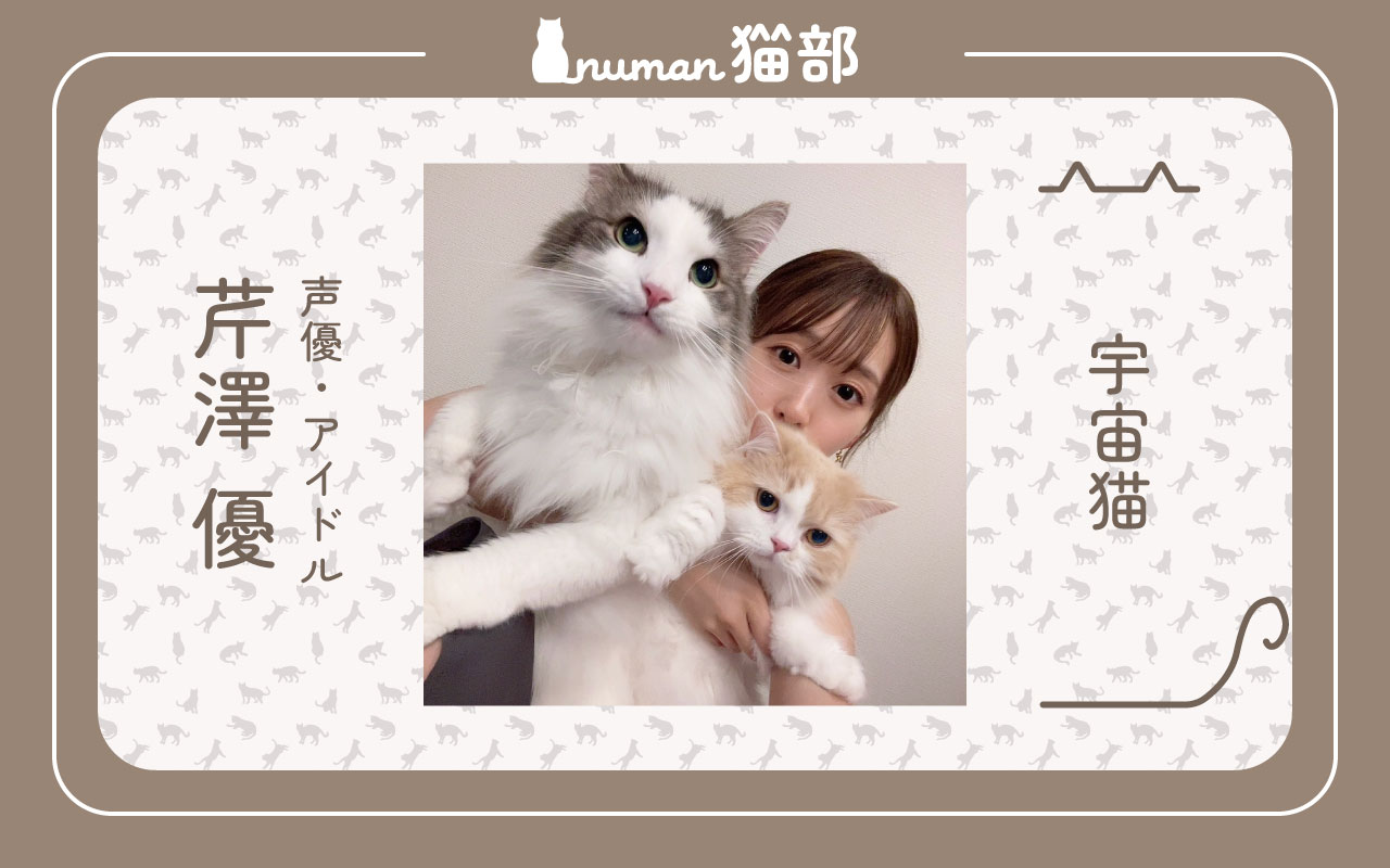 【numan猫部】芹澤優アイキャッチ