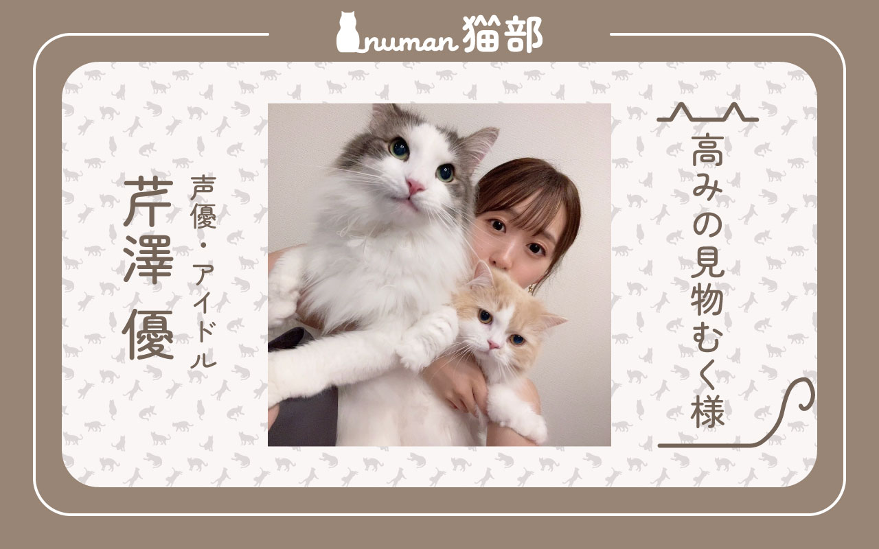 numan猫部 芹澤優 第7回 アイキャッチ