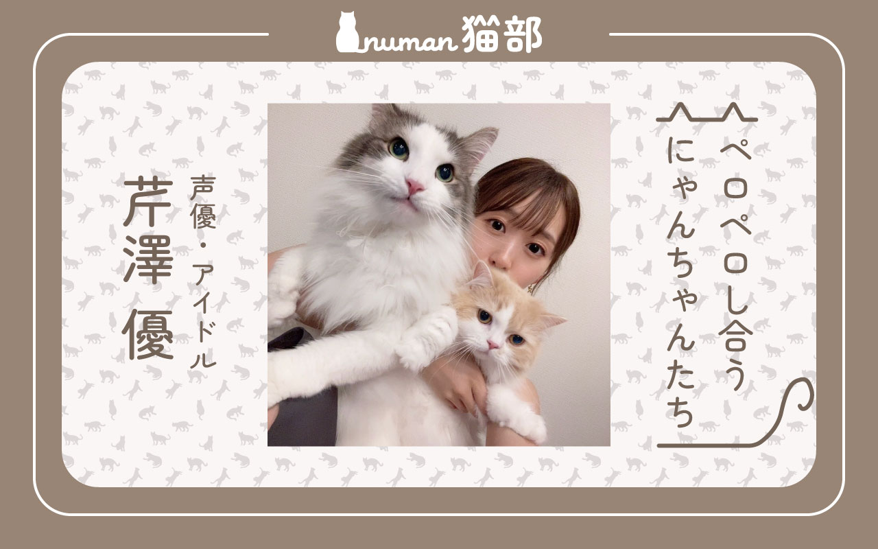 numan猫部 芹澤優 第6回 アイキャッチ