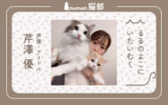 numan猫部 芹澤優 第9回 アイキャッチ