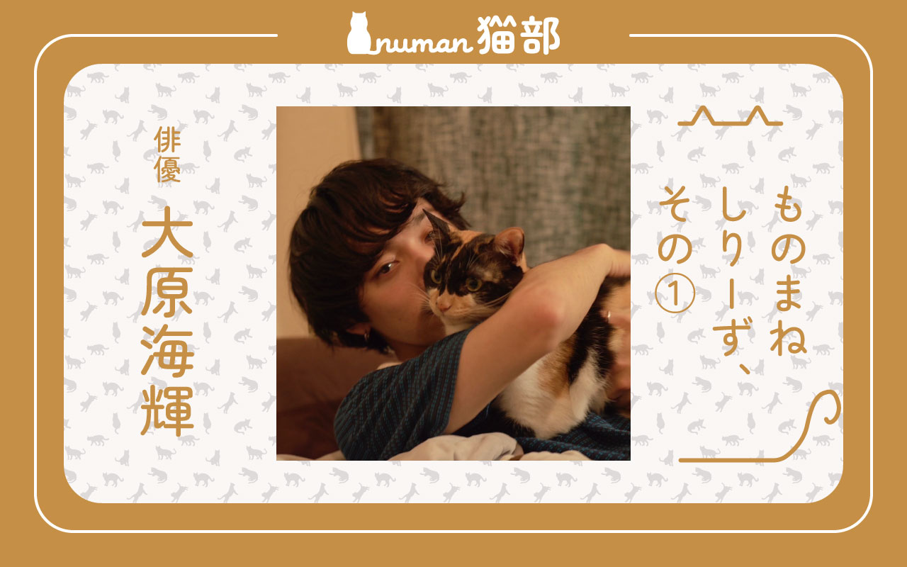 numan猫部 大原海輝 第7回 アイキャッチ