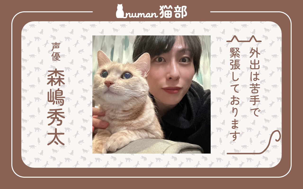 numan猫部 森嶋秀太 アイキャッチ