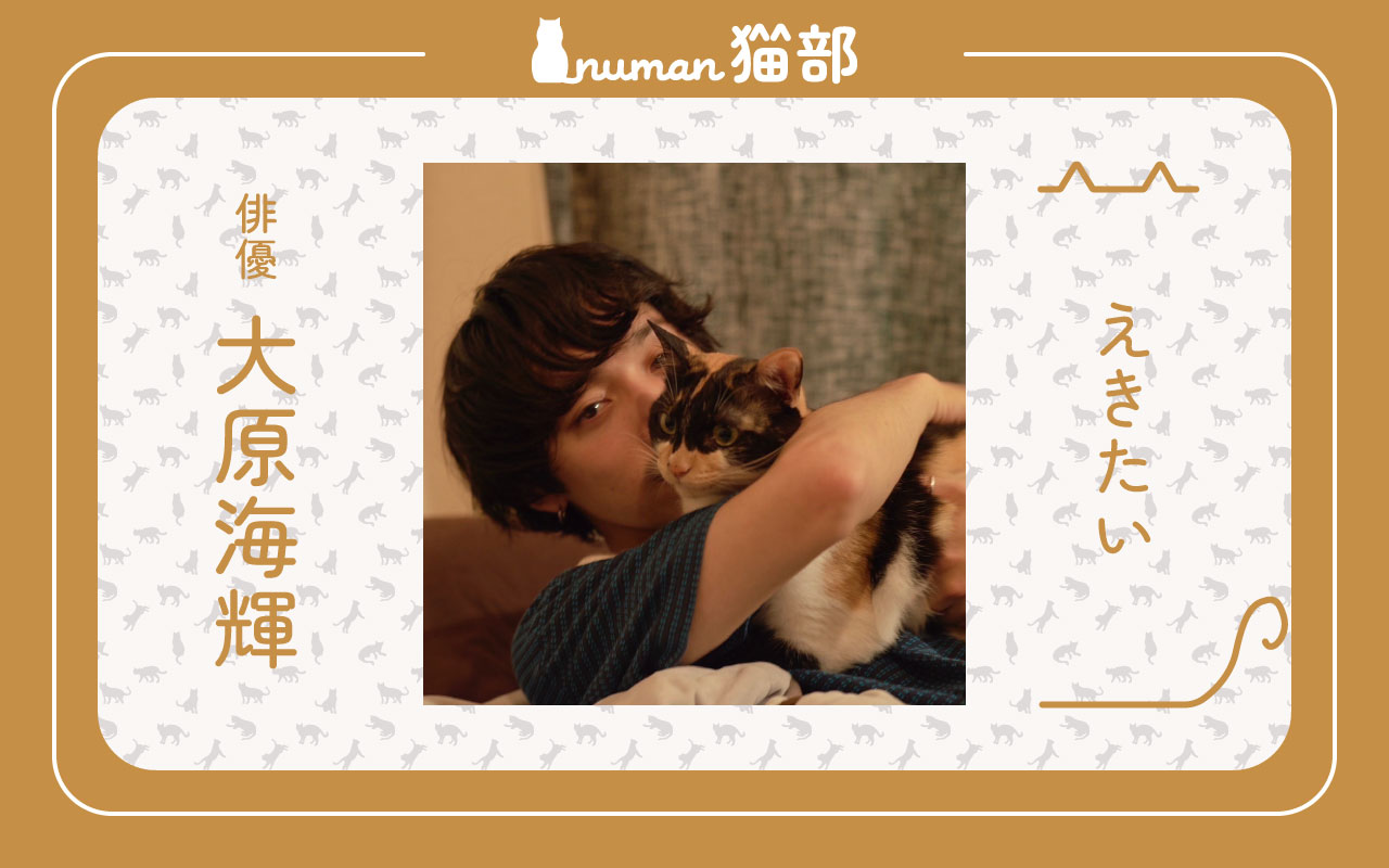 numan猫部 大原海輝 第6回