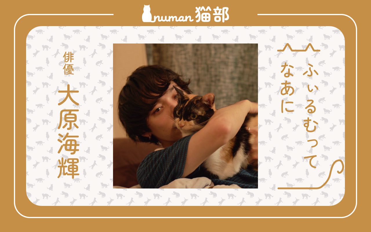 numan猫部 大原海輝 第8回 アイキャッチ