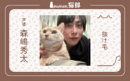 numan猫部 森嶋秀太 アイキャッチ