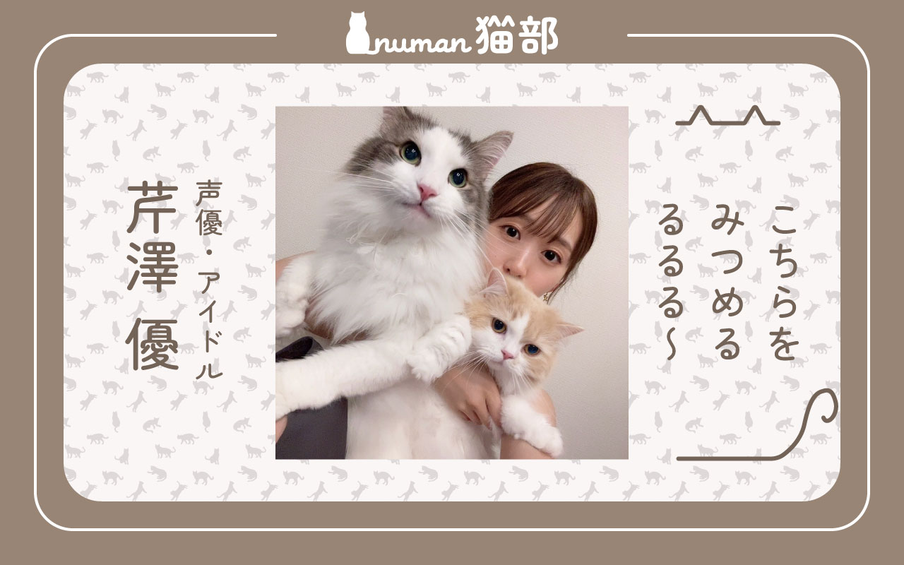 numan猫部 芹澤優 第13回