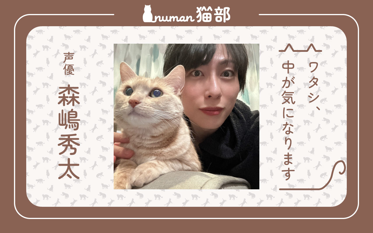 numan猫部 森嶋秀太 第14回 アイキャッチ