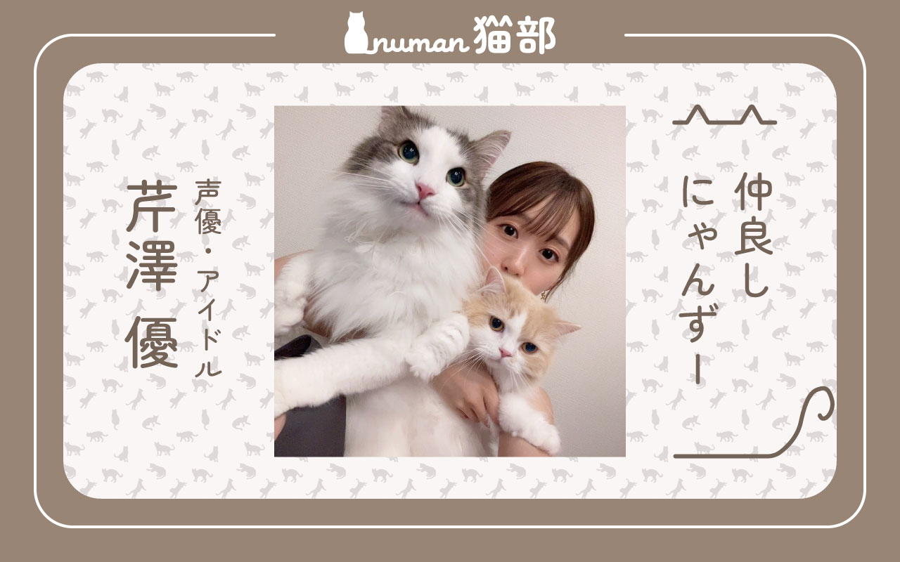 numan猫部 芹澤優 第14回