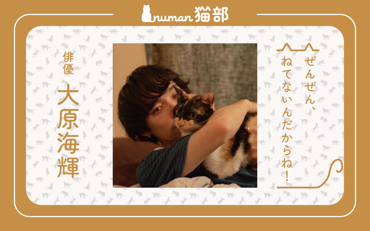 numan猫部 大原海輝 第14回 アイキャッチ