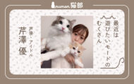 numan猫部 芹澤優 第17回