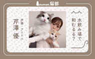 numan猫部 芹澤優 第16回