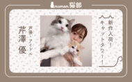 numan猫部_芹澤優 #19