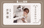 numan猫部_芹澤優 #20